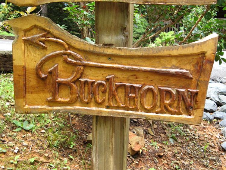 Вілла Buckhorn Гатлінбург Екстер'єр фото